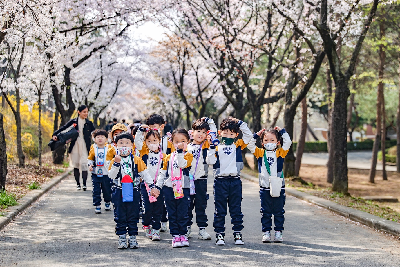 나무, 야외, 그룹, 사람들이(가) 표시된 사진

자동 생성된 설명