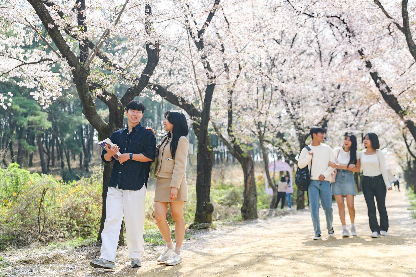 나무, 야외, 지상, 스탠딩이(가) 표시된 사진

자동 생성된 설명