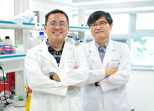 YU Research Team Uncovers ‘Stem Cell Survival Rate Enhancement” Mechanism!